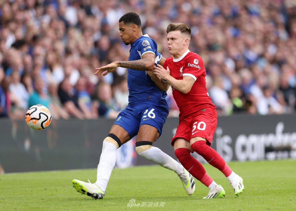 己的身体与 己的身体与