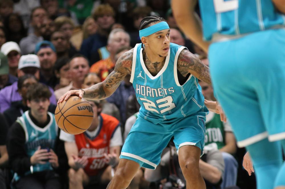 森林狼成功 森林狼成功